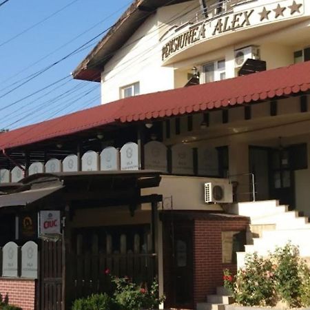 Vila Alex&Razvan Tulcea Exterior photo