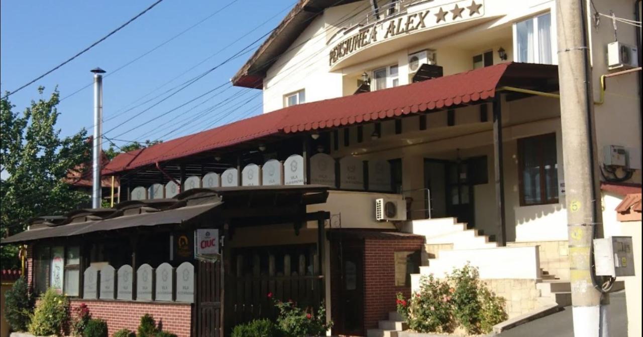 Vila Alex&Razvan Tulcea Exterior photo